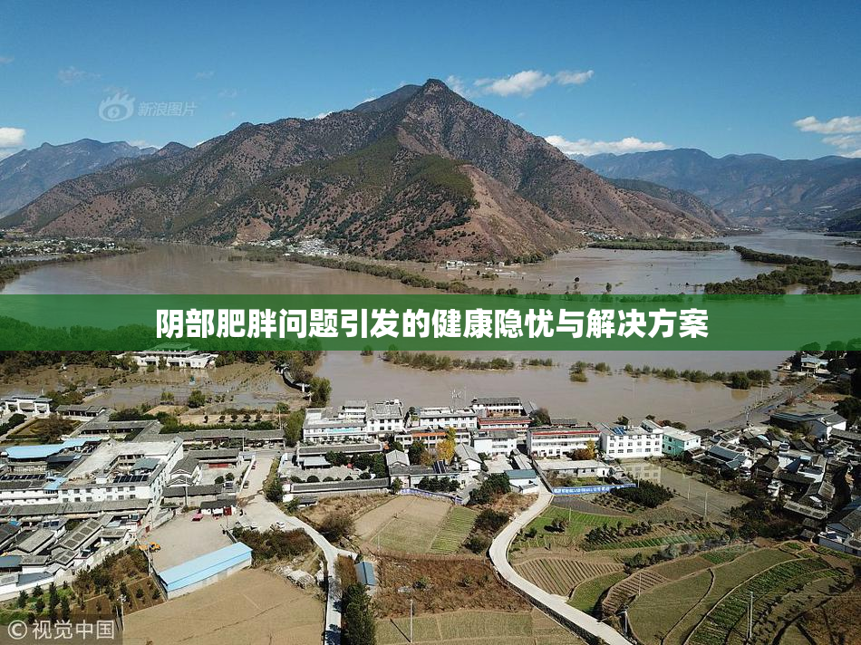 阴部肥胖问题引发的健康隐忧与解决方案