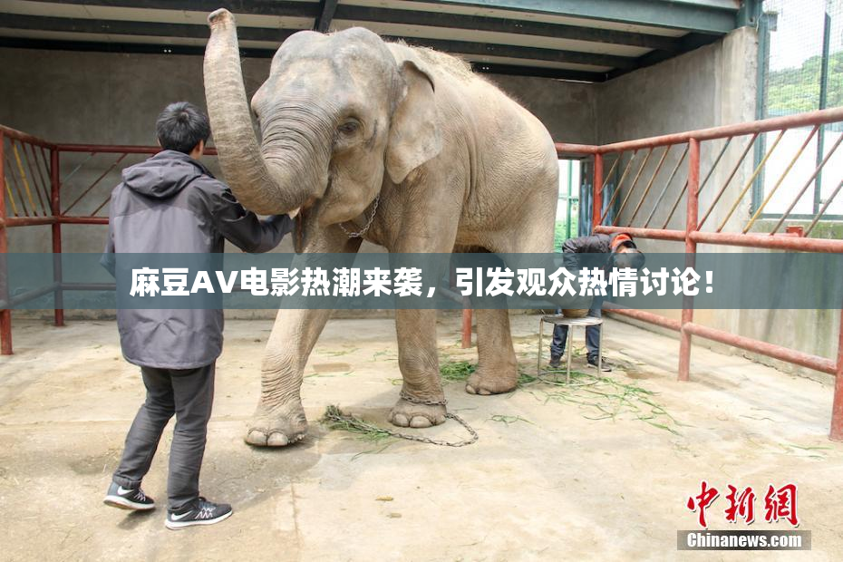 麻豆AV电影热潮来袭，引发观众热情讨论！