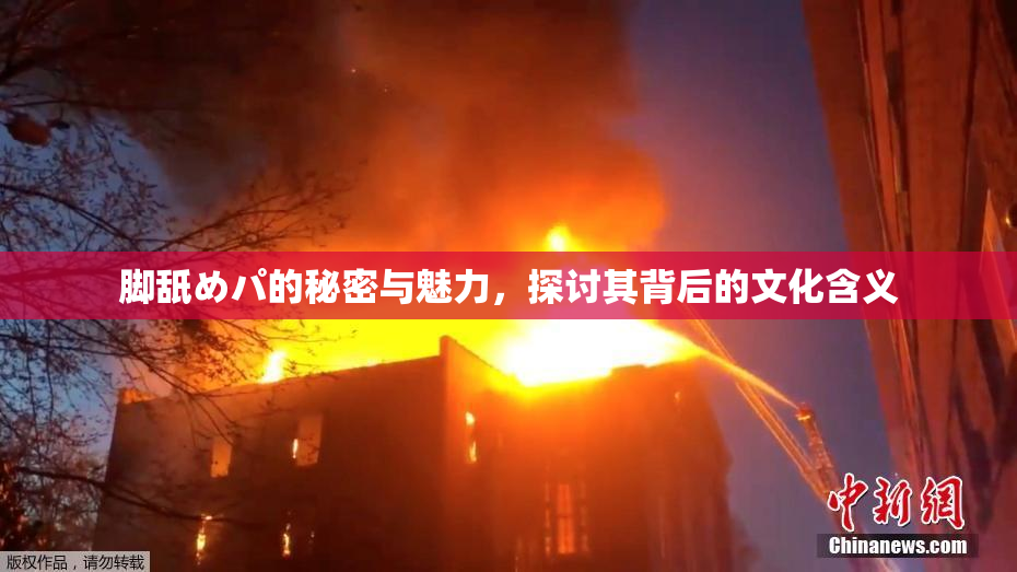 脚舐めパ的秘密与魅力，探讨其背后的文化含义