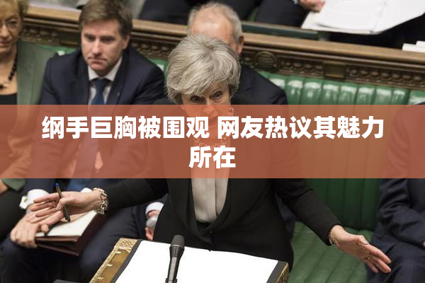 纲手巨胸被围观 网友热议其魅力所在
