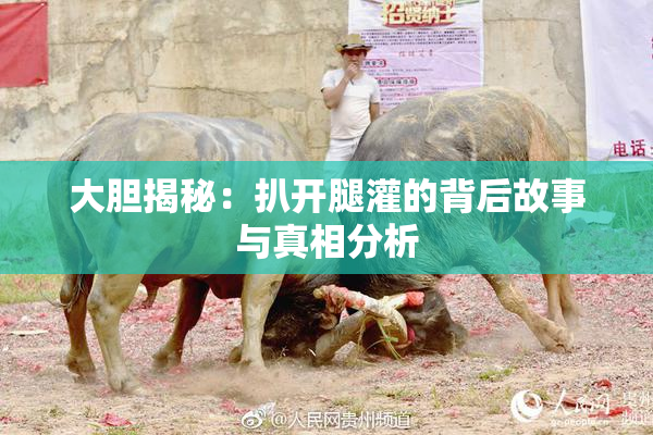 大胆揭秘：扒开腿灌的背后故事与真相分析