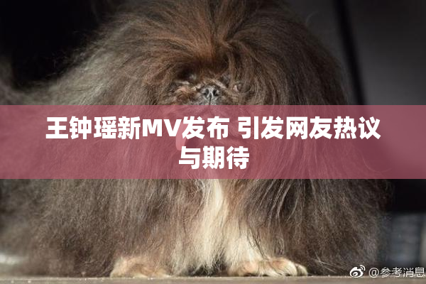 王钟瑶新MV发布 引发网友热议与期待