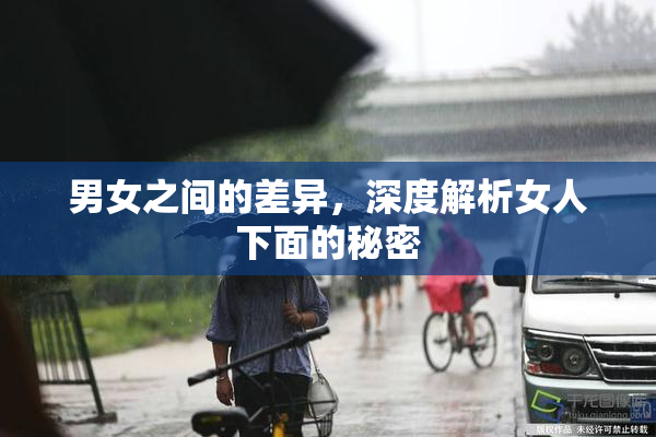 男女之间的差异，深度解析女人下面的秘密