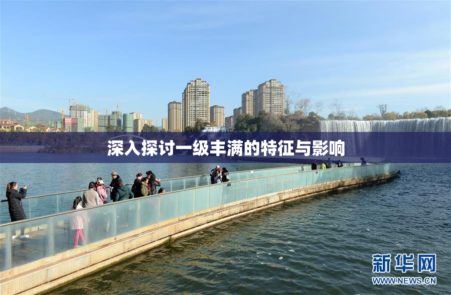 深入探讨一级丰满的特征与影响