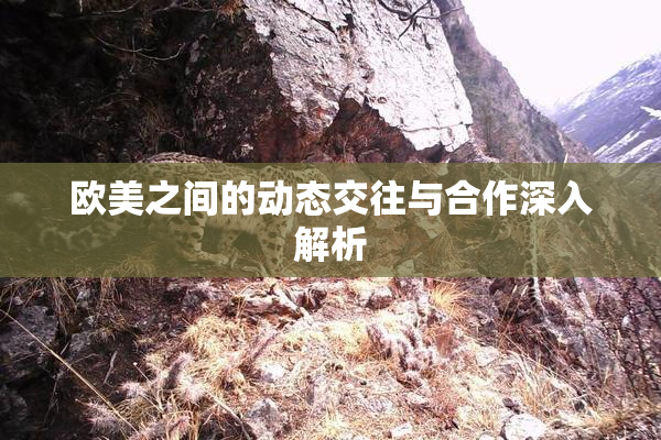 欧美之间的动态交往与合作深入解析