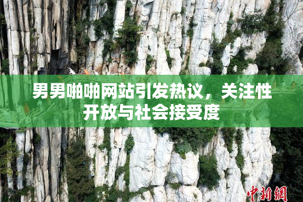 男男啪啪网站引发热议，关注性开放与社会接受度