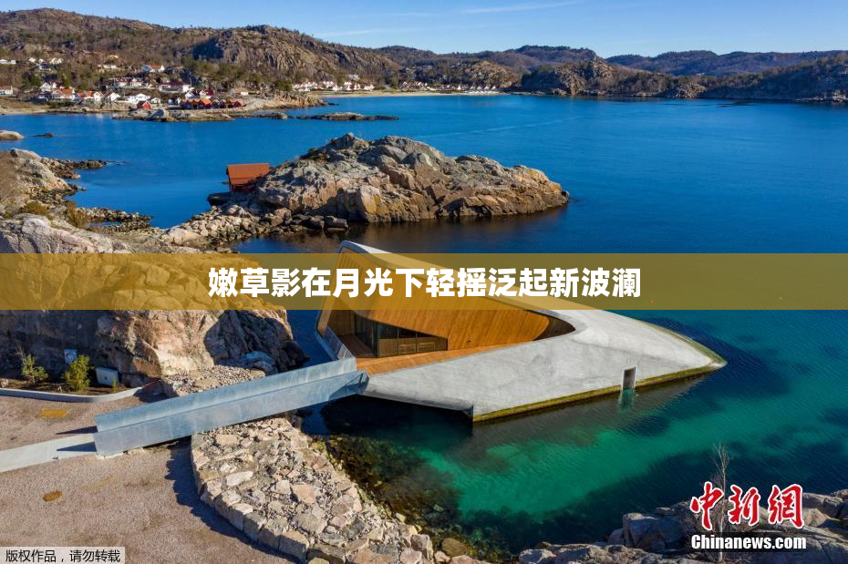 嫩草影在月光下轻摇泛起新波澜