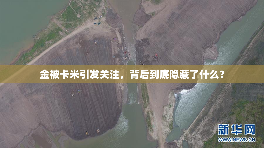 金被卡米引发关注，背后到底隐藏了什么？