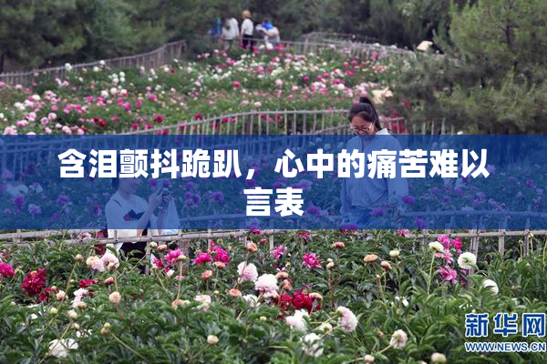 含泪颤抖跪趴，心中的痛苦难以言表