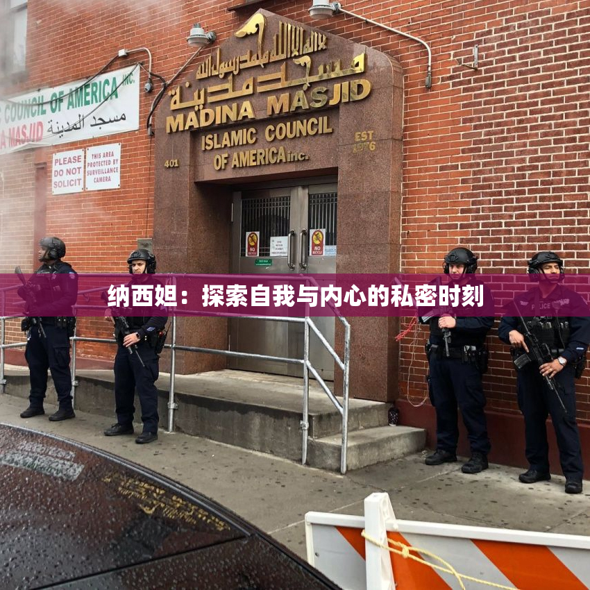纳西妲：探索自我与内心的私密时刻