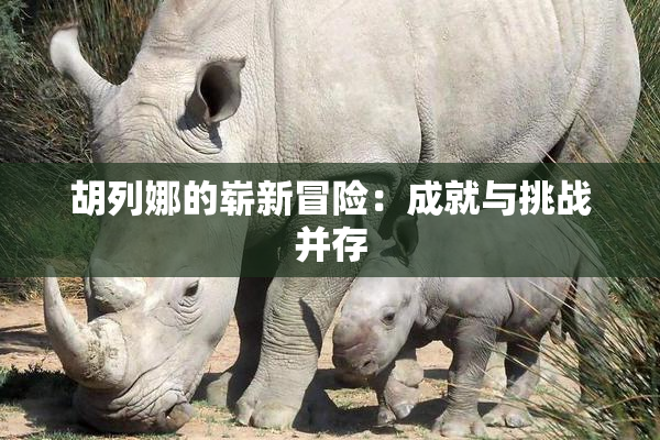 胡列娜的崭新冒险：成就与挑战并存
