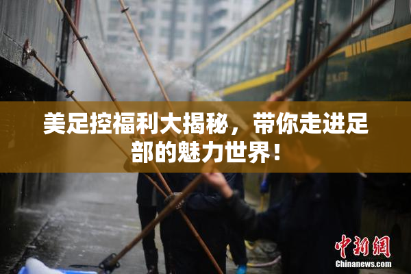 美足控福利大揭秘，带你走进足部的魅力世界！