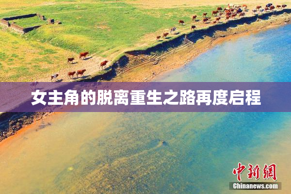 女主角的脱离重生之路再度启程