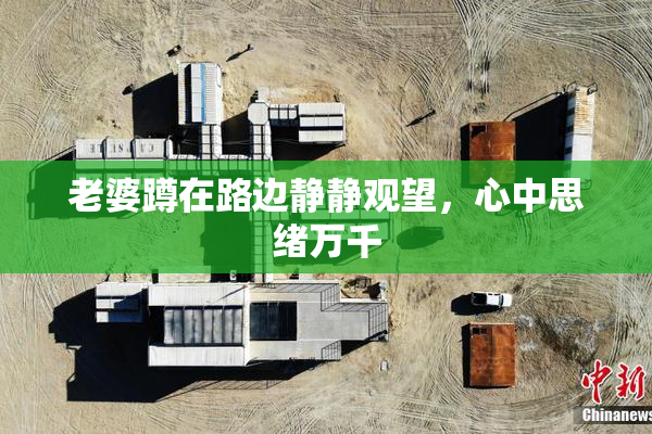 老婆蹲在路边静静观望，心中思绪万千