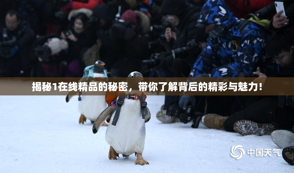 揭秘1在线精品的秘密，带你了解背后的精彩与魅力！