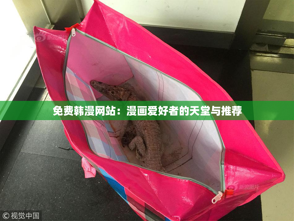 免费韩漫网站：漫画爱好者的天堂与推荐
