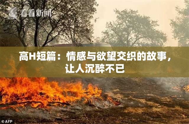 高H短篇：情感与欲望交织的故事，让人沉醉不已
