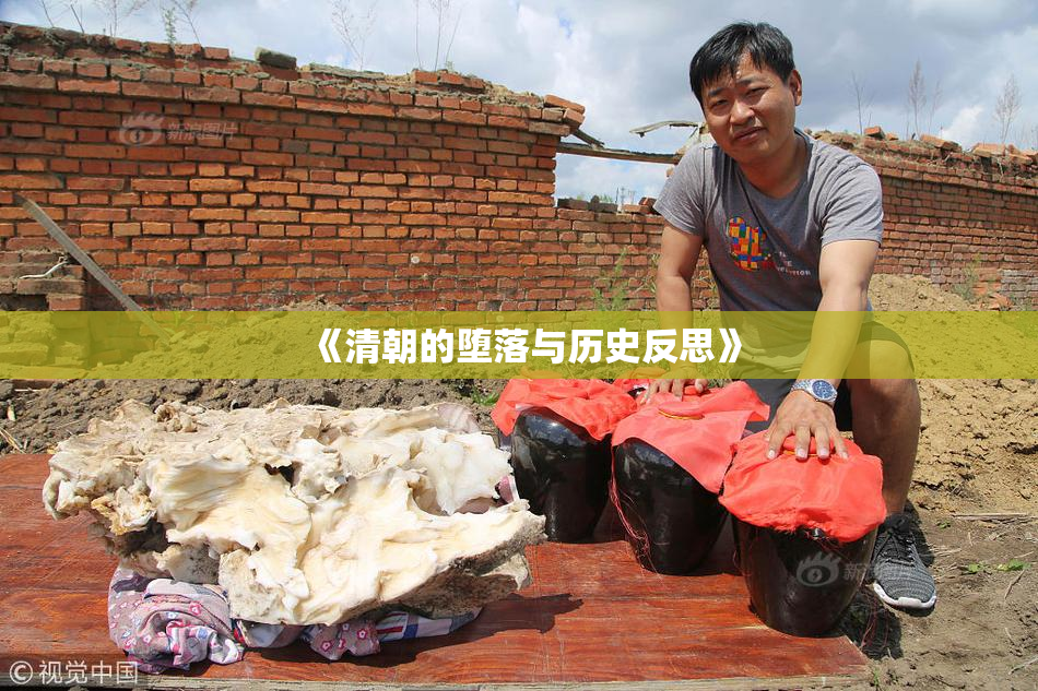 《清朝的堕落与历史反思》