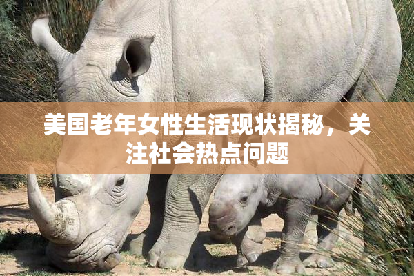 美国老年女性生活现状揭秘，关注社会热点问题