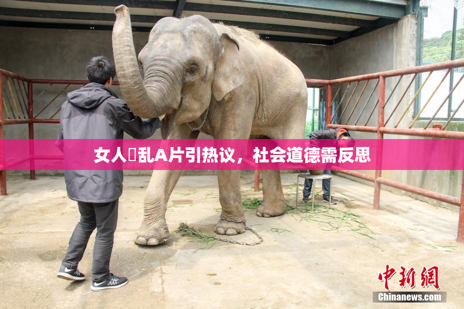 女人婬乱A片引热议，社会道德需反思