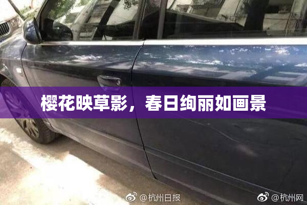 樱花映草影，春日绚丽如画景