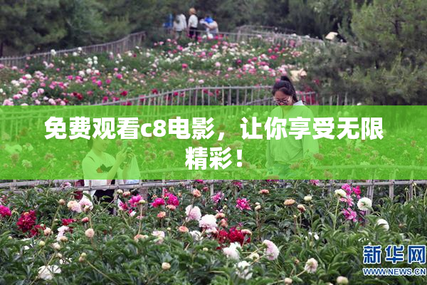 免费观看c8电影，让你享受无限精彩！