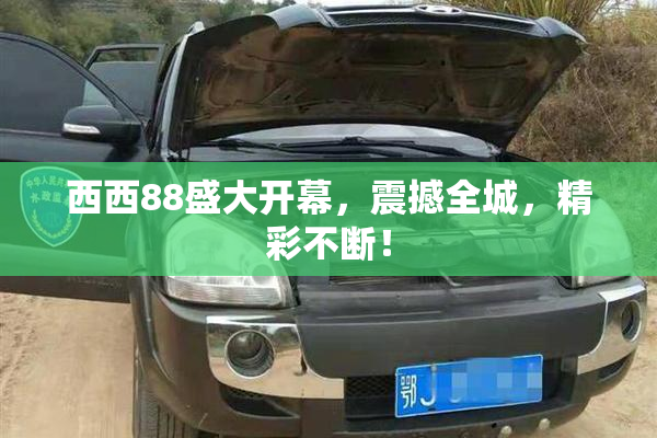 西西88盛大开幕，震撼全城，精彩不断！