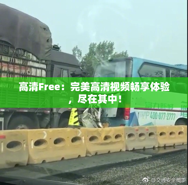 高清Free：完美高清视频畅享体验，尽在其中！