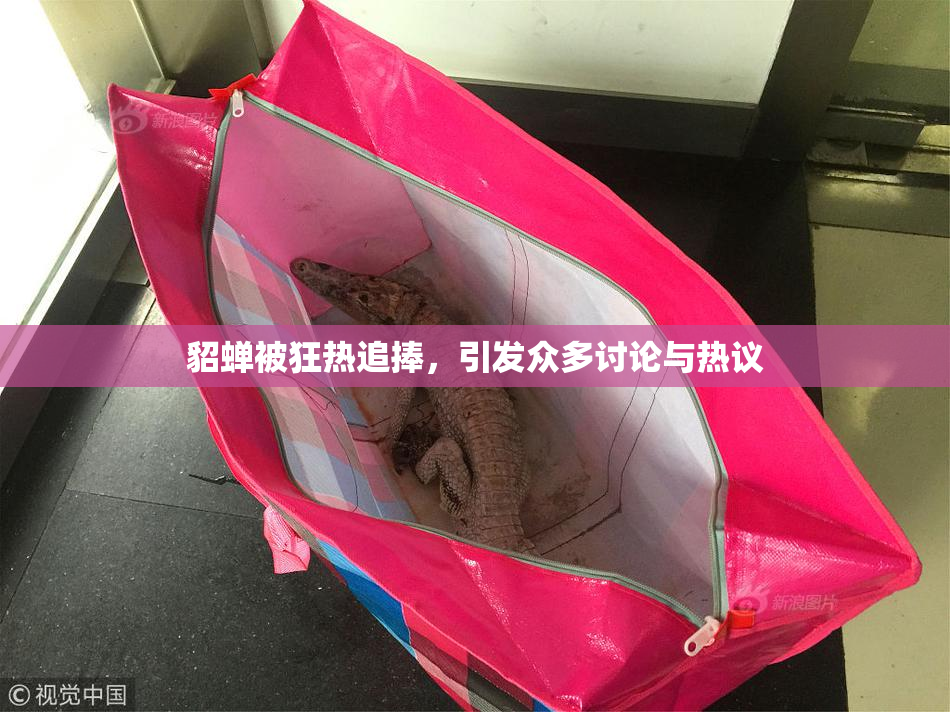 貂蝉被狂热追捧，引发众多讨论与热议