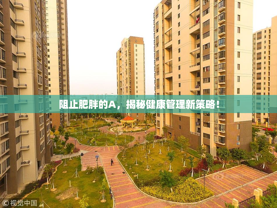 阻止肥胖的A，揭秘健康管理新策略！