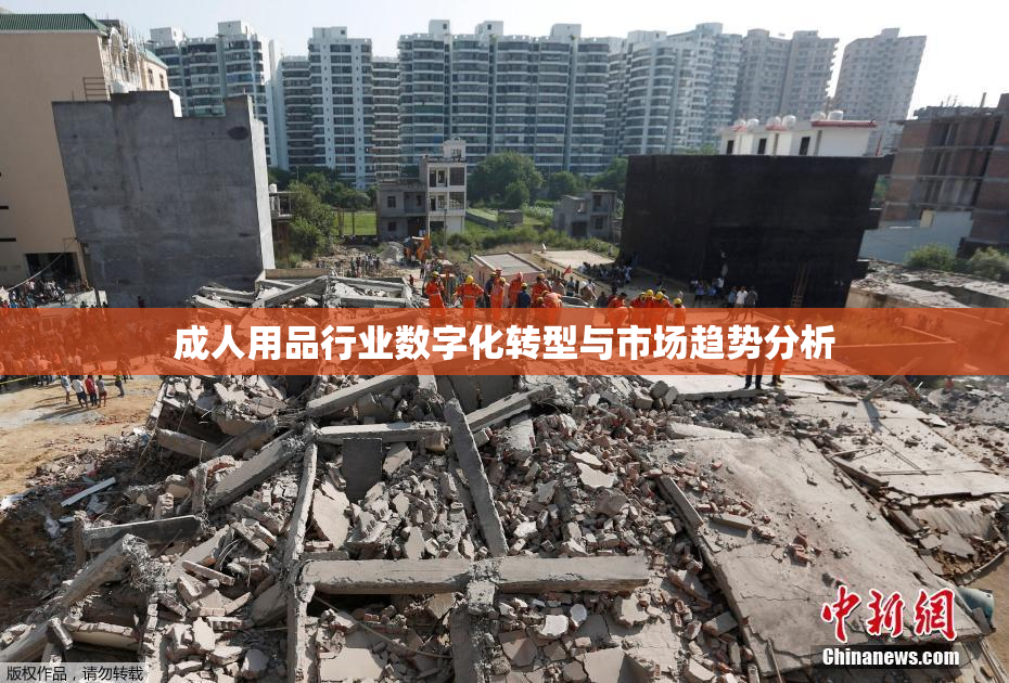 成人用品行业数字化转型与市场趋势分析