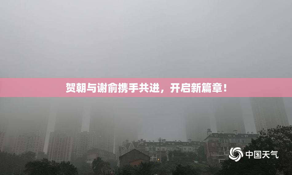 贺朝与谢俞携手共进，开启新篇章！
