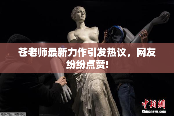 苍老师最新力作引发热议，网友纷纷点赞!