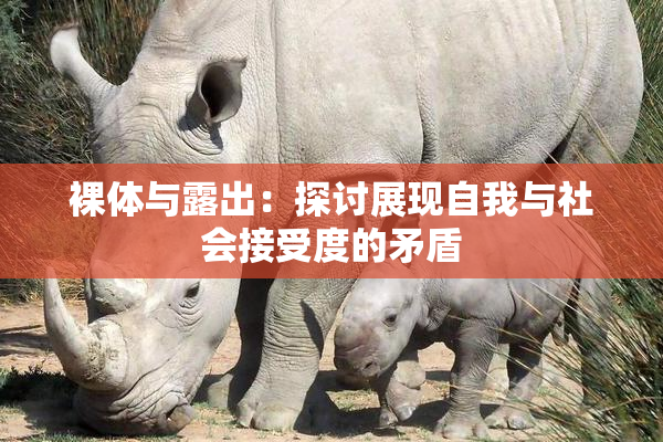 裸体与露出：探讨展现自我与社会接受度的矛盾