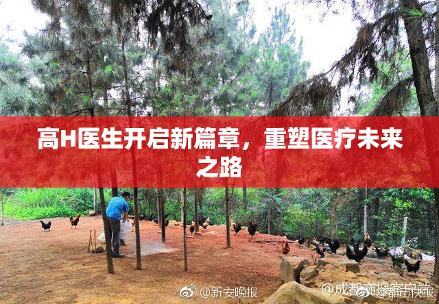 高H医生开启新篇章，重塑医疗未来之路