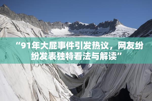 “91年大屁事件引发热议，网友纷纷发表独特看法与解读”