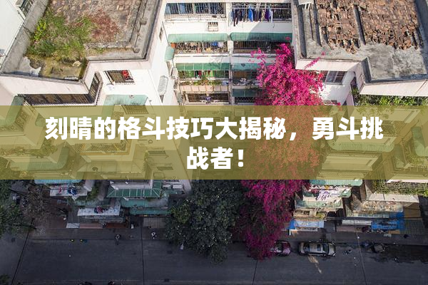 刻晴的格斗技巧大揭秘，勇斗挑战者！