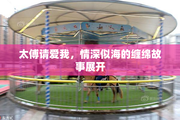 太傅请爱我，情深似海的缠绵故事展开