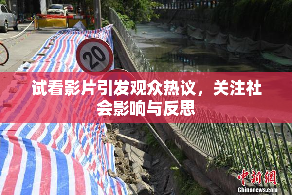 试看影片引发观众热议，关注社会影响与反思