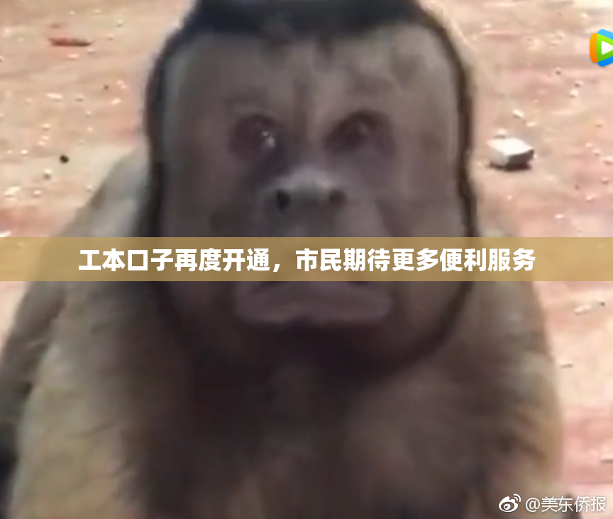 工本口子再度开通，市民期待更多便利服务