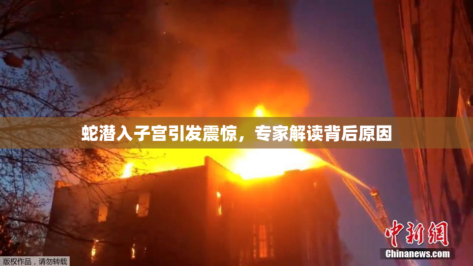 蛇潜入子宫引发震惊，专家解读背后原因