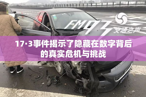 17·3事件揭示了隐藏在数字背后的真实危机与挑战