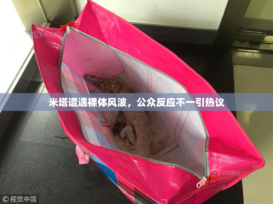 米塔遭遇裸体风波，公众反应不一引热议