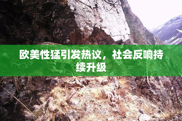 欧美性猛引发热议，社会反响持续升级