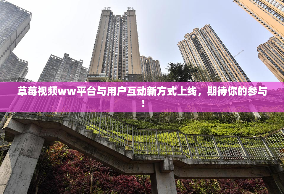 草莓视频ww平台与用户互动新方式上线，期待你的参与！