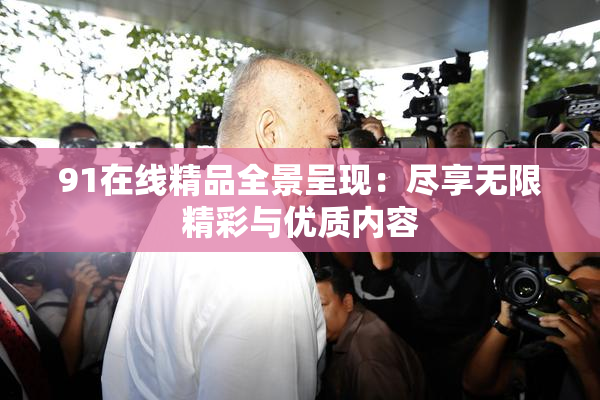 91在线精品全景呈现：尽享无限精彩与优质内容