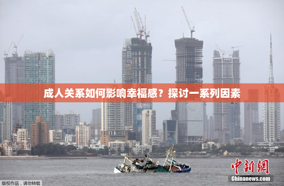 成人关系如何影响幸福感？探讨一系列因素