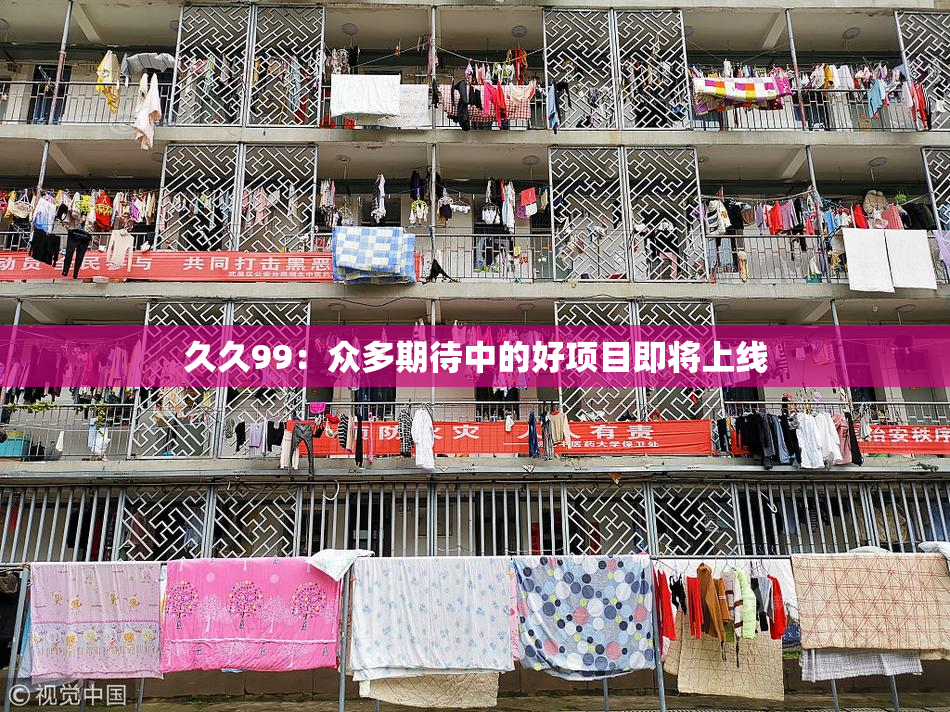 久久99：众多期待中的好项目即将上线