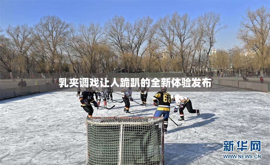 乳夹调戏让人跪趴的全新体验发布