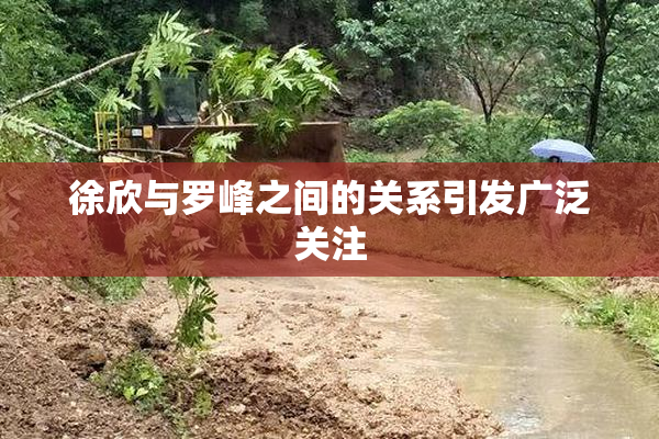 徐欣与罗峰之间的关系引发广泛关注
